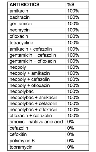 Staphylococcus saprophyticus